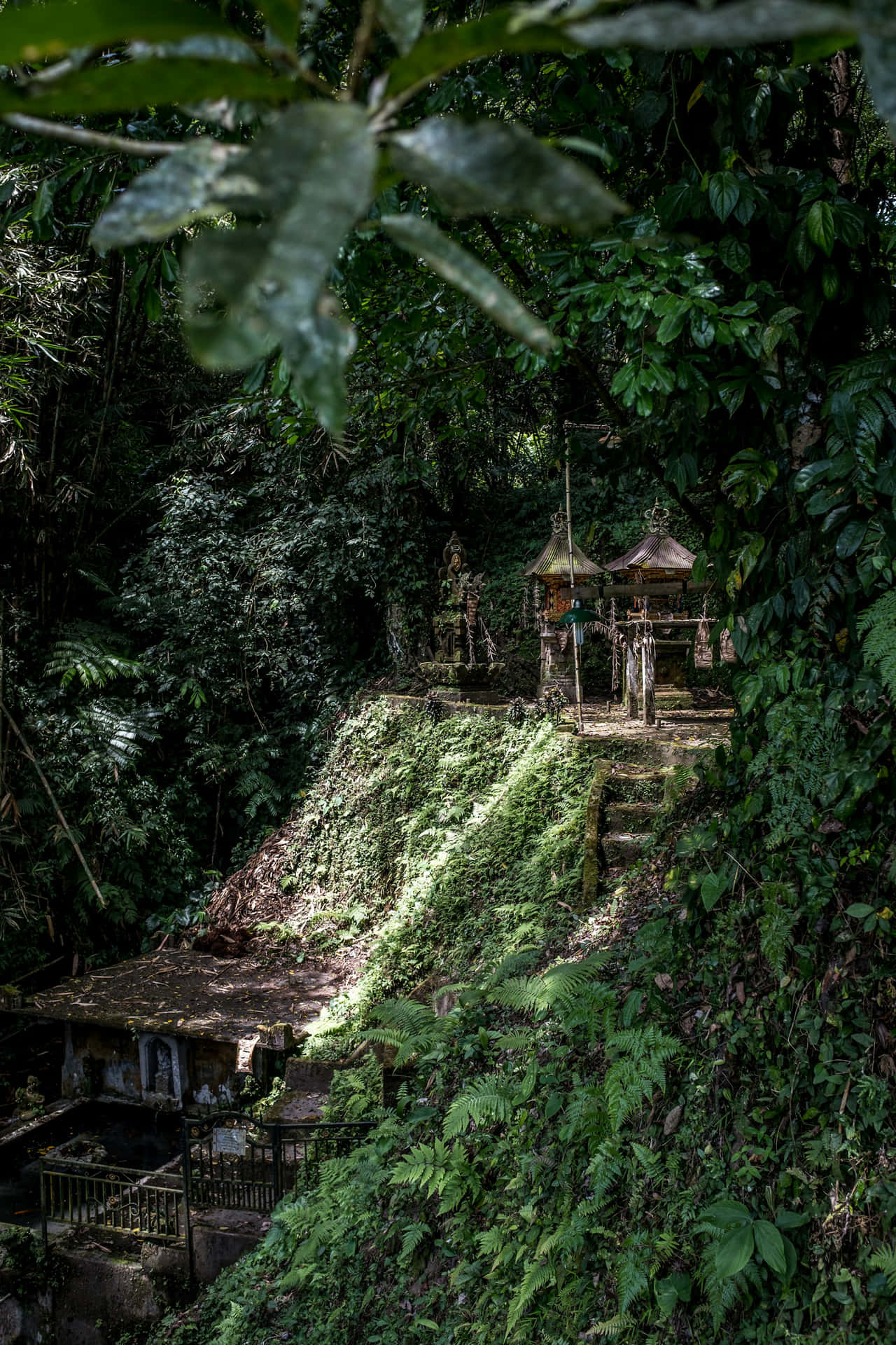 Mystical_ Jungle_ Temple_ Amidst_ Greenery Wallpaper