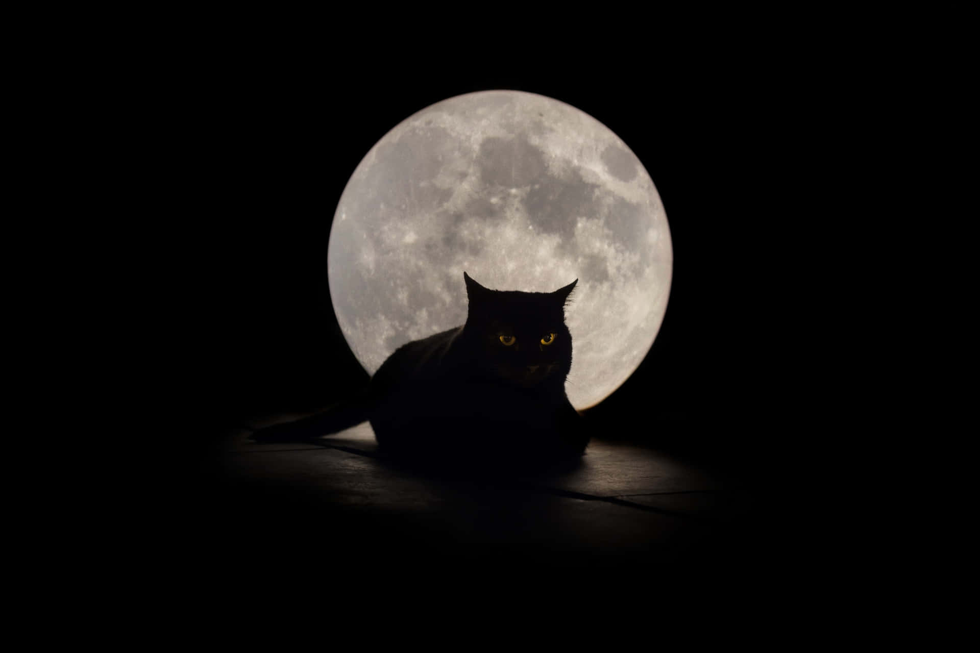 Mystical Moonlit Black Cat Wallpaper