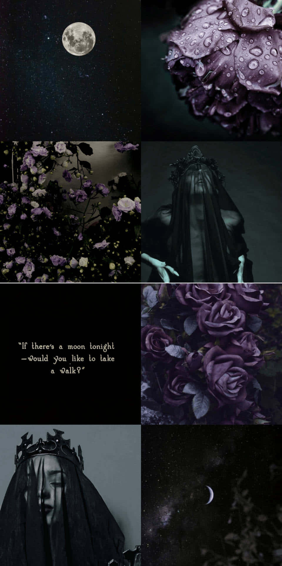 Mystical_ Moonlit_ Roses_and_ Veil Wallpaper