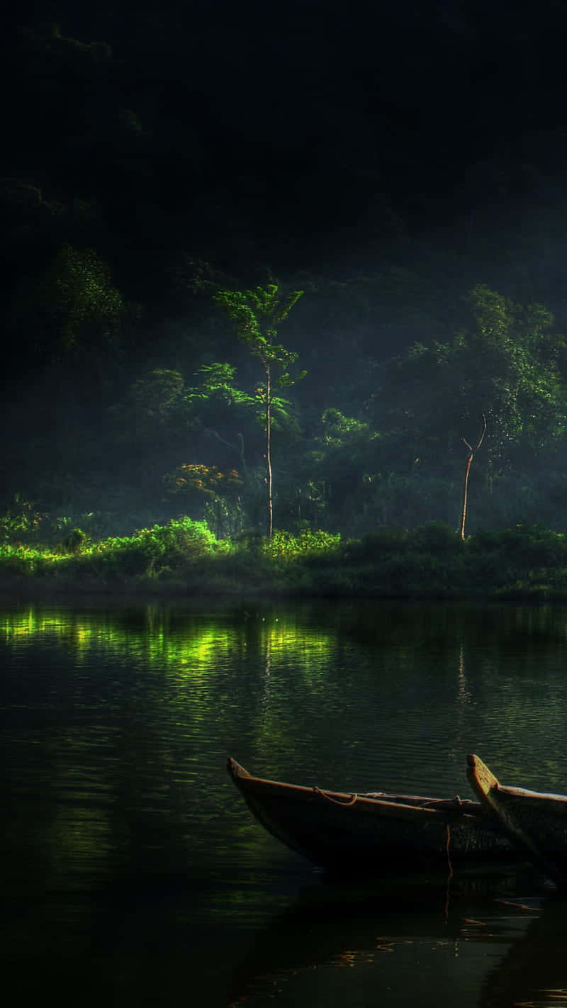 Mystical_ Night_ Forest_by_ River.jpg Wallpaper