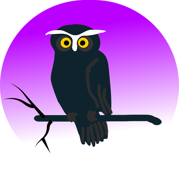 Mystical Night Owl PNG