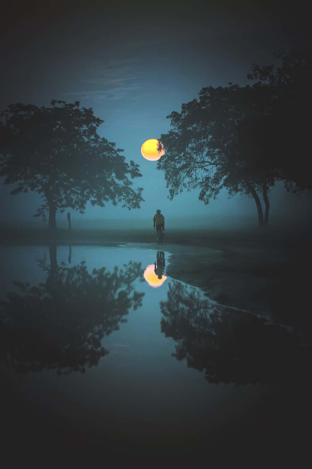 Mystical_ Night_ Scene_with_ Full_ Moon Wallpaper