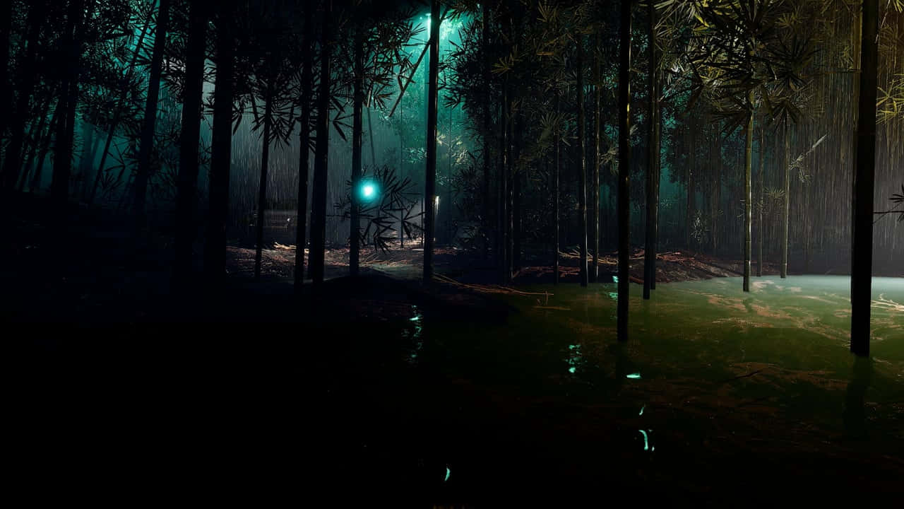 Mystical_ Nighttime_ Bamboo_ Forest Wallpaper