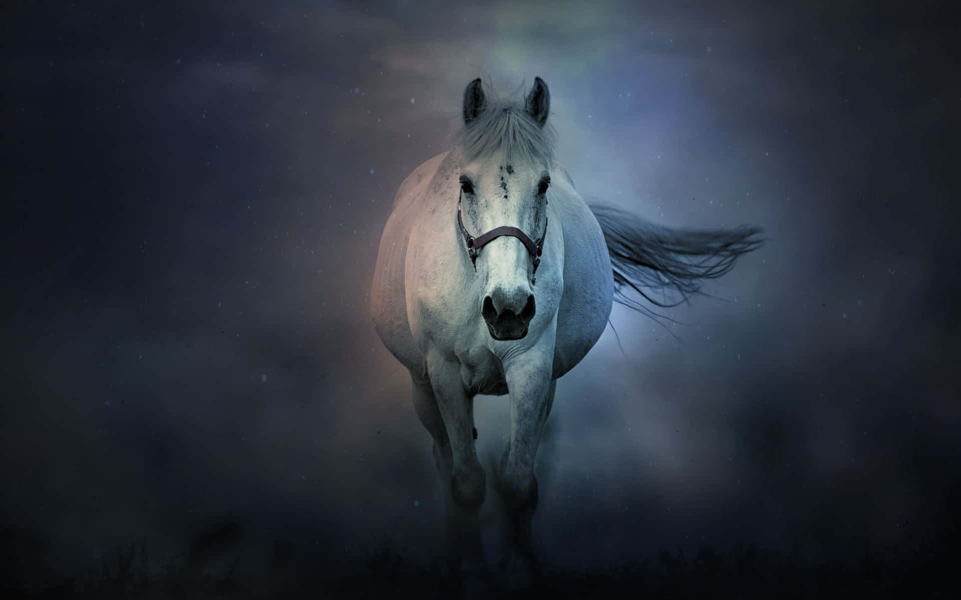 Mystical_ Nighttime_ Horse_ Gallop Wallpaper