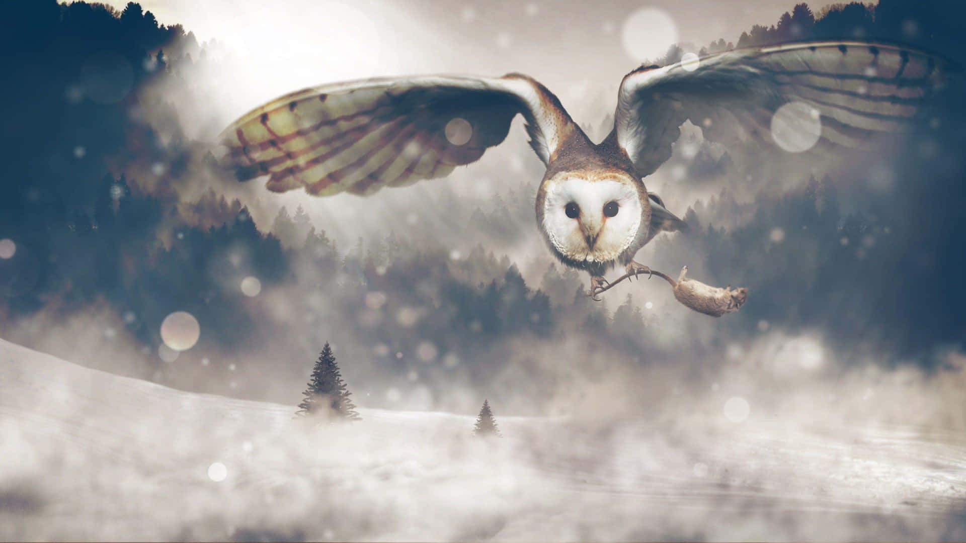 Mystical_ Owl_ Flight_ Winter_ Forest Wallpaper