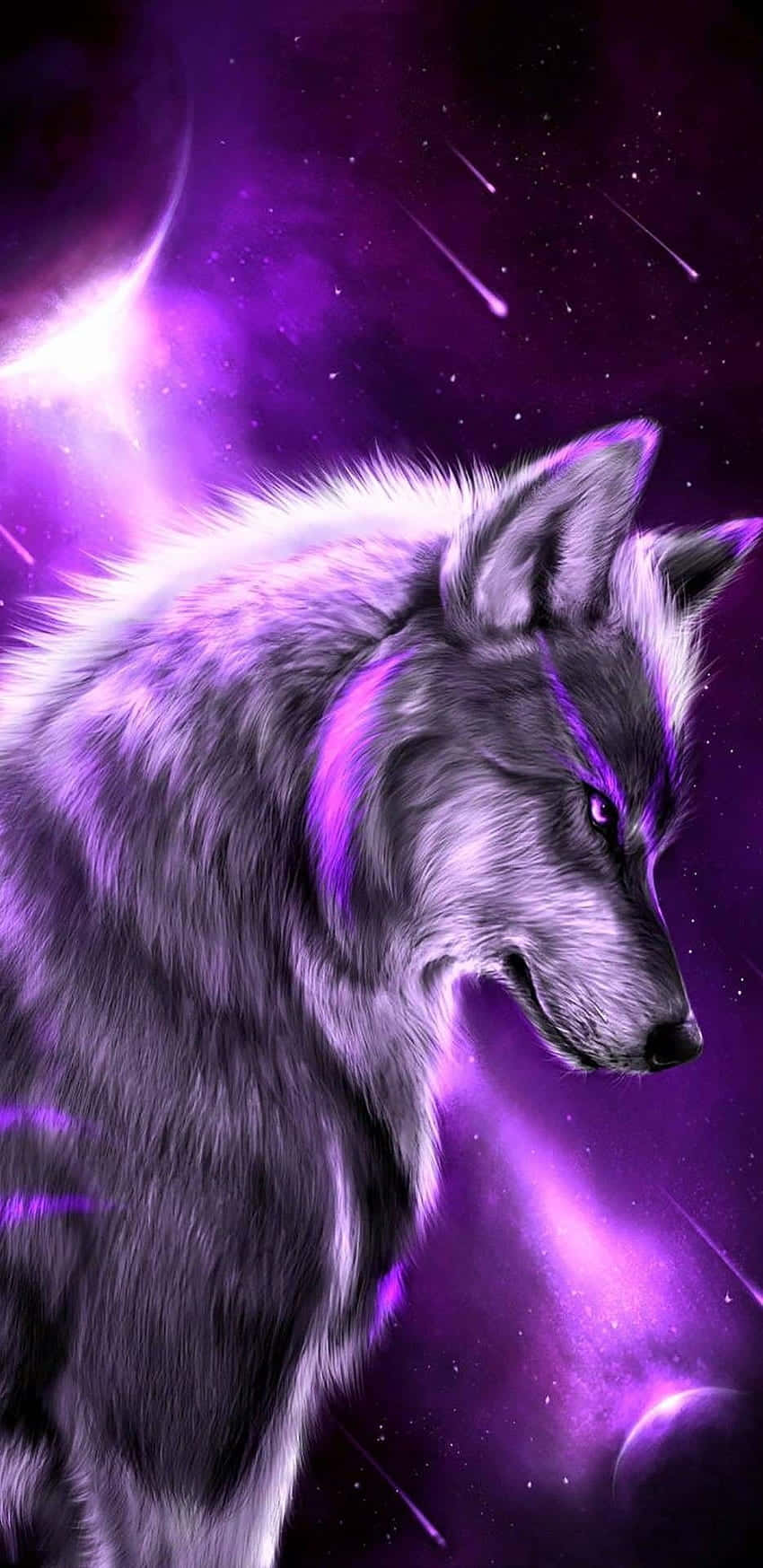 Mystical Purple Wolf Art Wallpaper