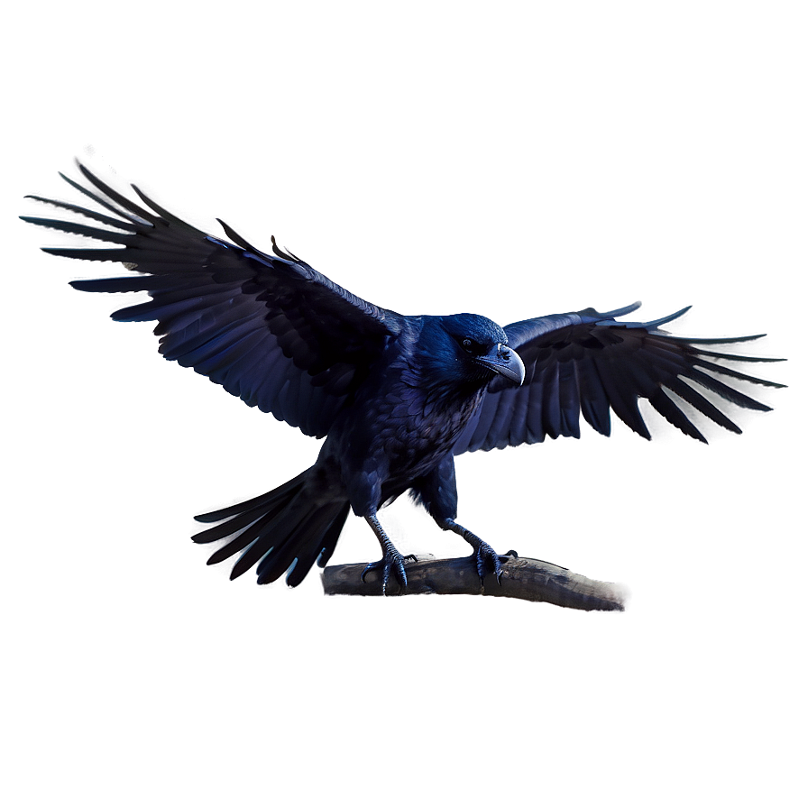 Mystical Raven Png 05062024 PNG