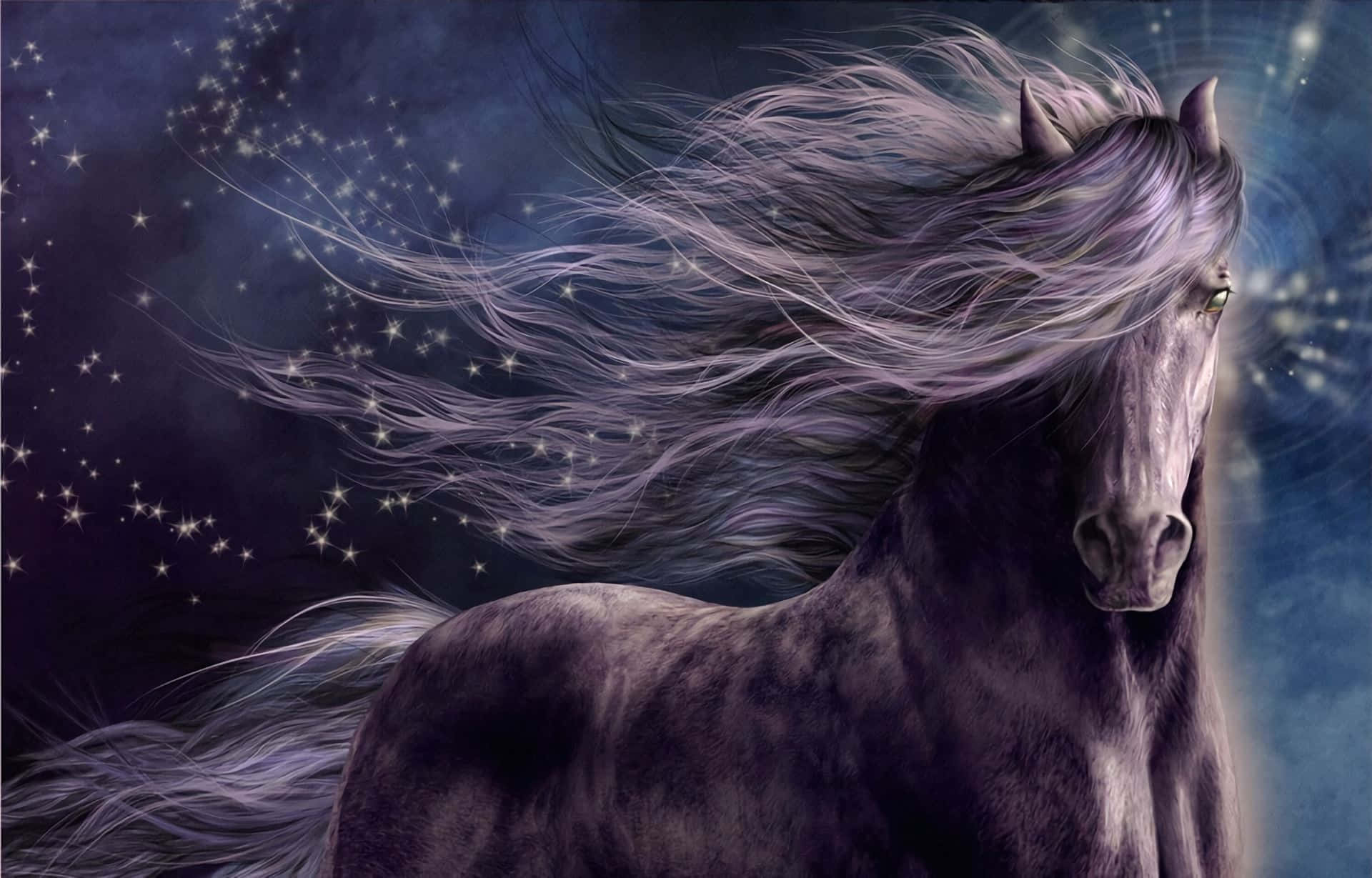 Mystical Starry Horse Wallpaper