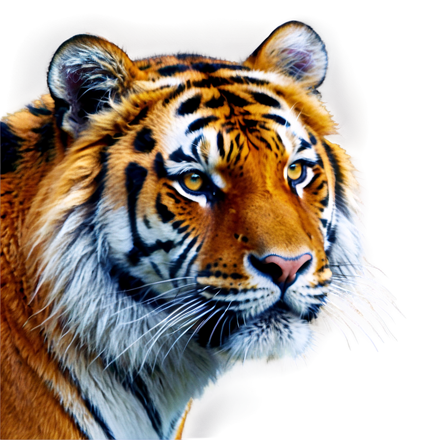 Mystical Tiger Face Aura Png 10 PNG