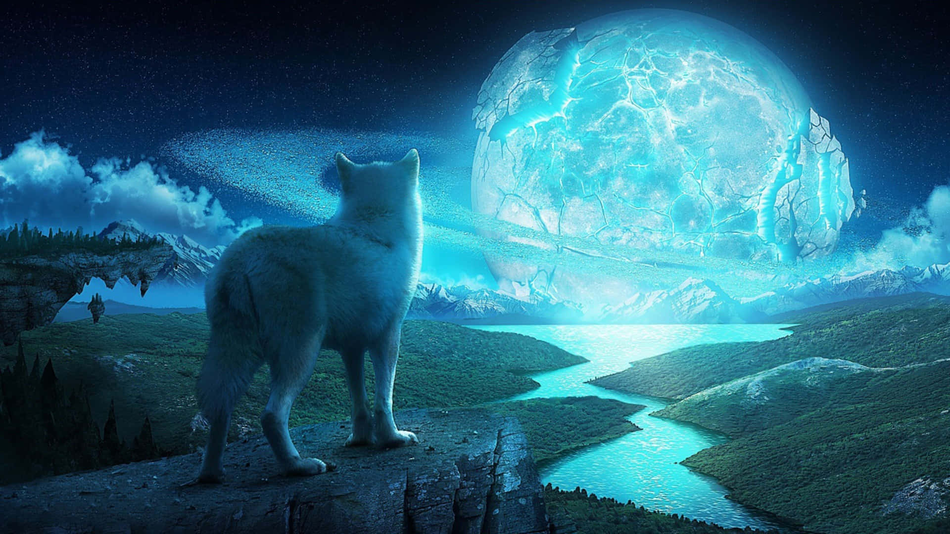 A Wolf Is Standing On A Cliff Looking At The Moon Wallpaper