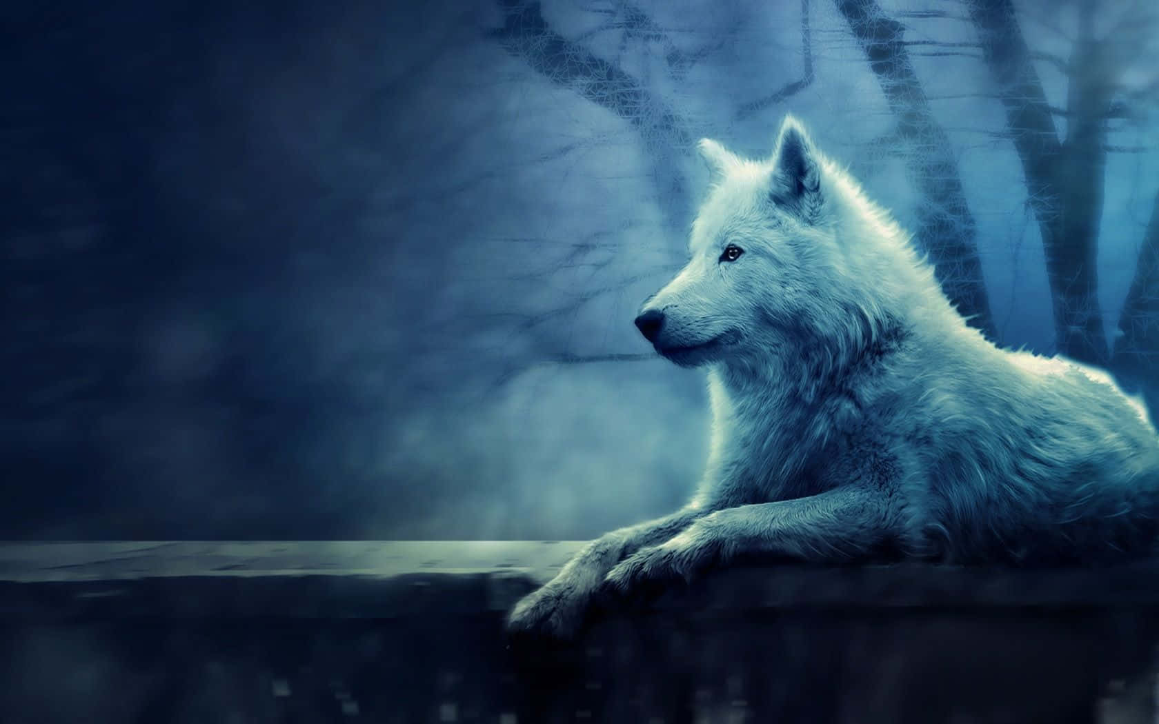 Nothing Tames a Mystical Wolf Wallpaper