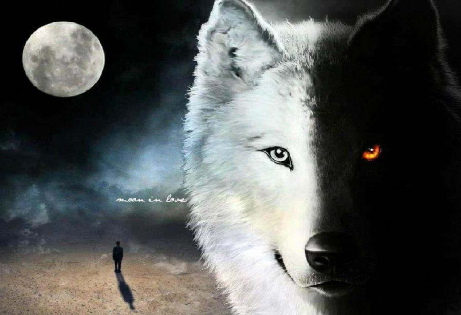 The Majestic Mystical Wolf Wallpaper
