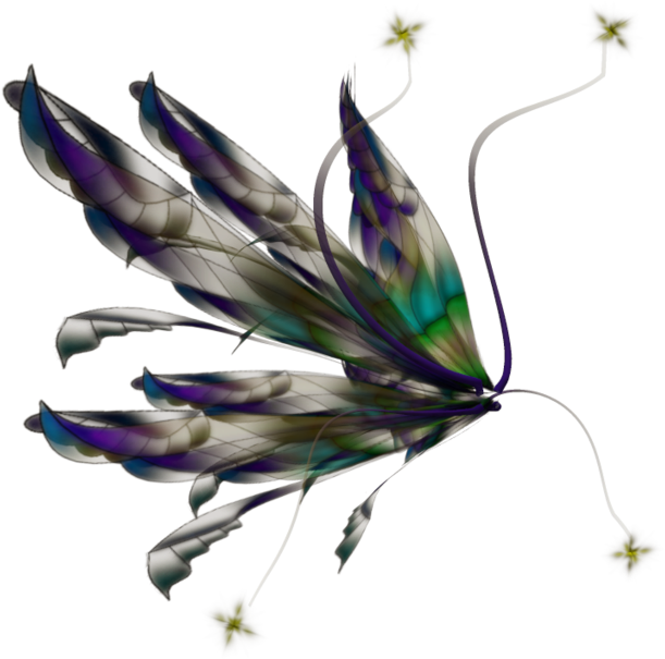 Mystical_ Fairy_ Wings_ Illustration.png PNG