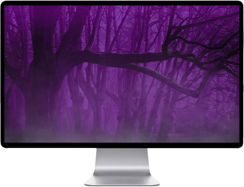 Mystical_ Purple_ Forest PNG