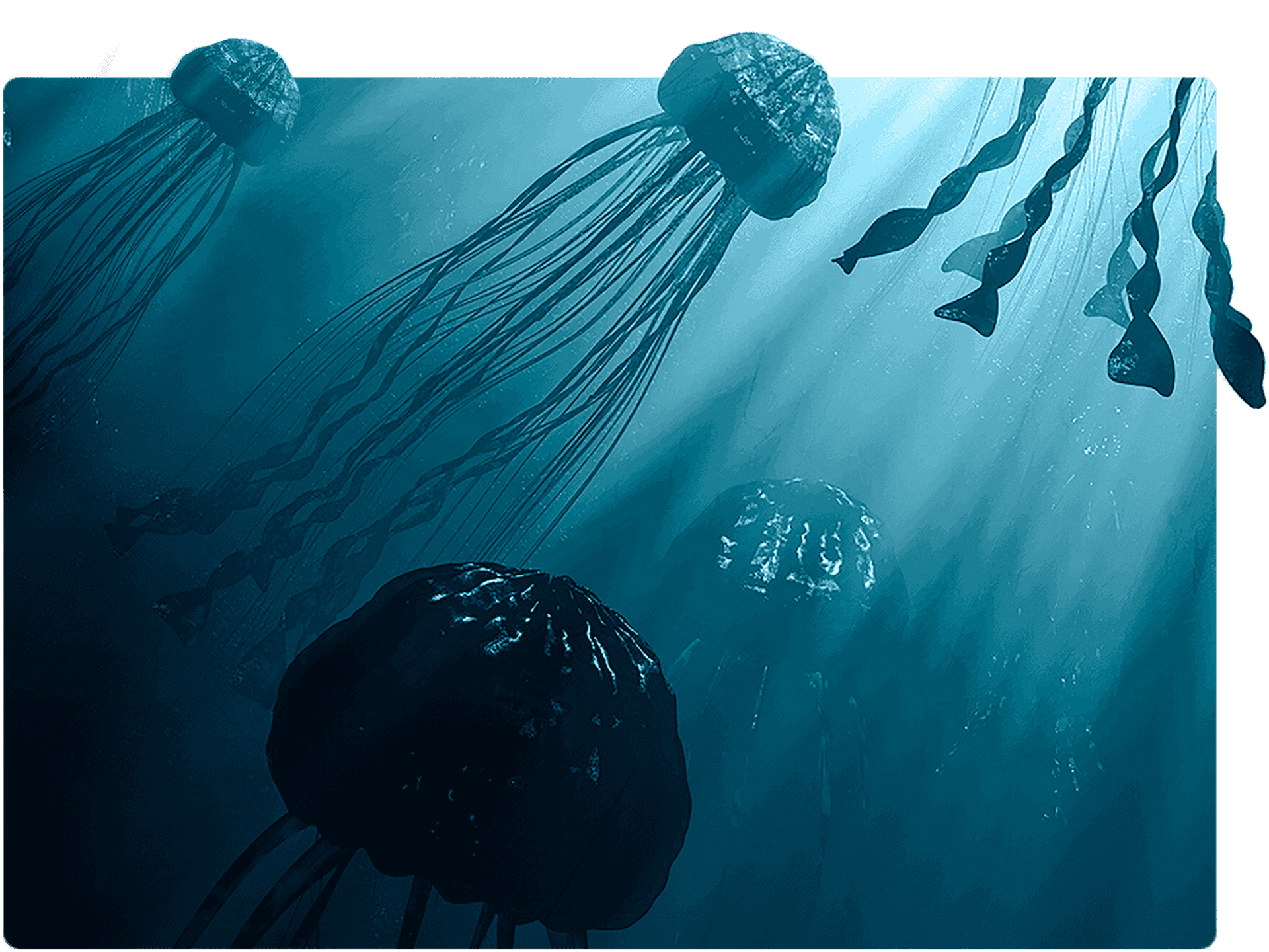 Mystical_ Underwater_ Jellyfish_ Scene.jpg PNG