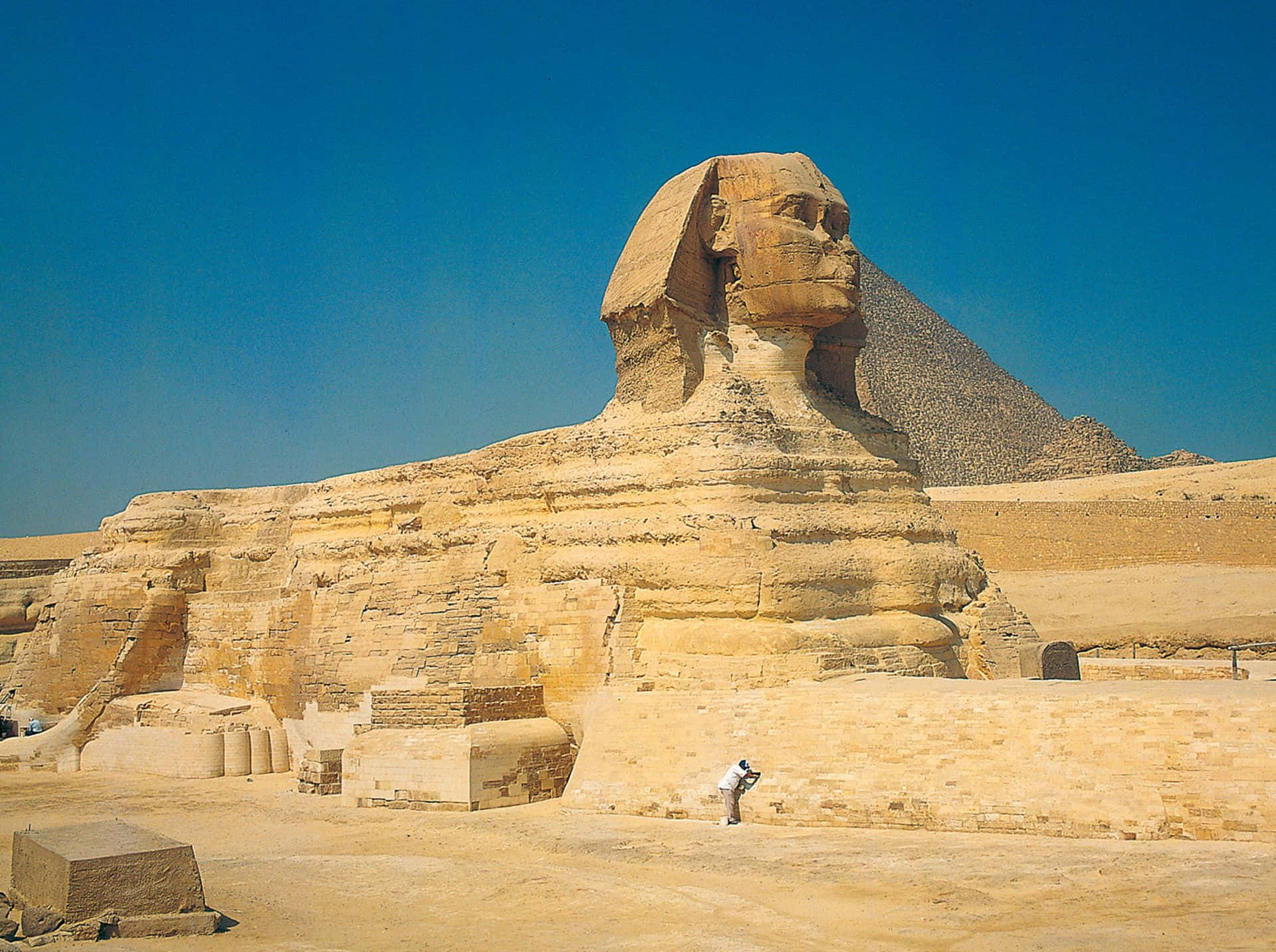 Mythical Creature The Great Sphinx Wallpaper