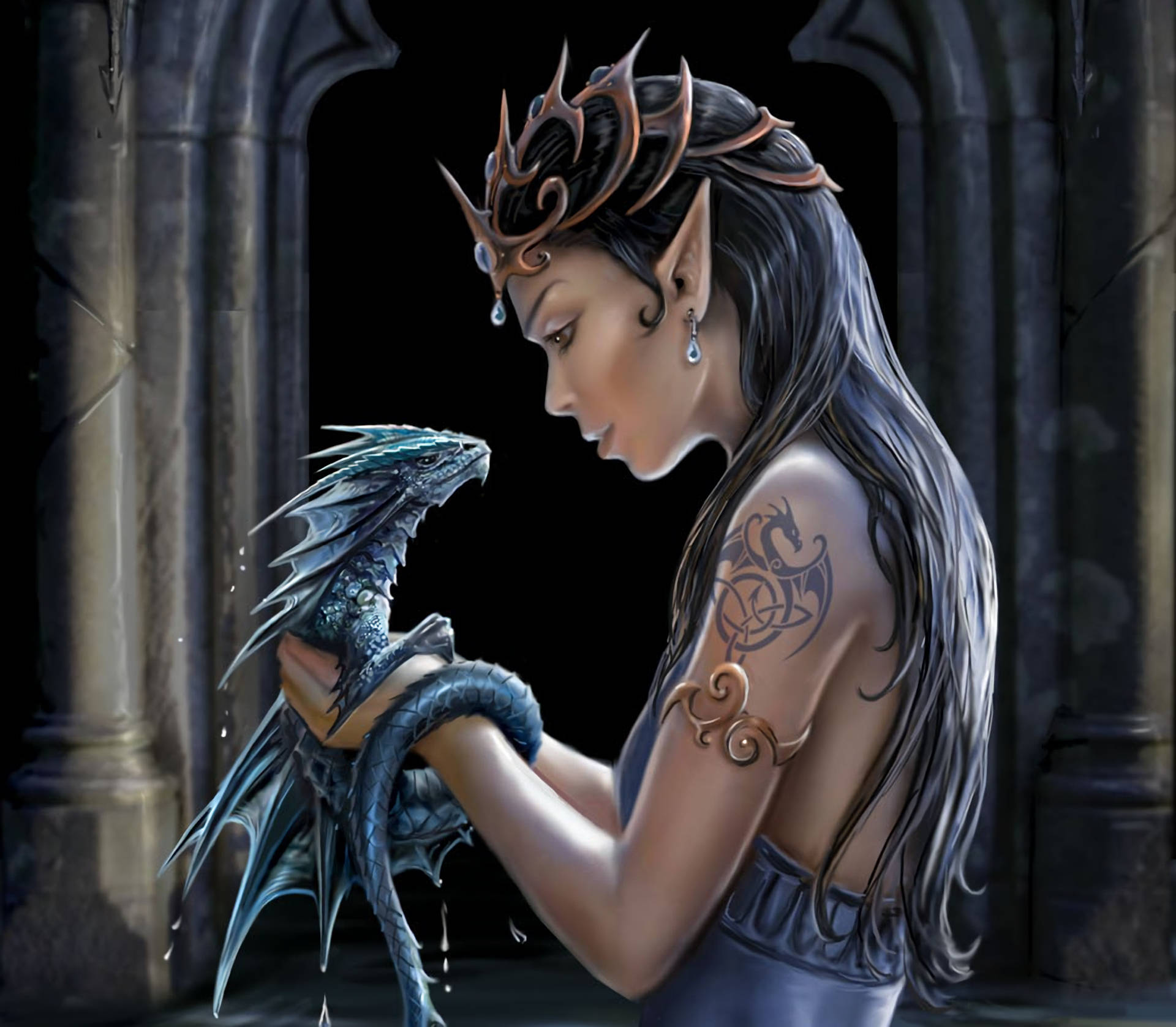 Mythical Creatures Dragon And Elf Picture