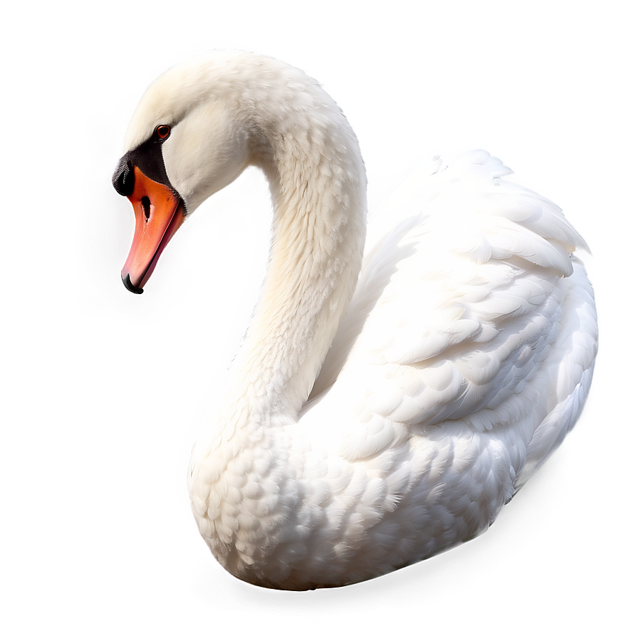 Mythical Swan Symbol Png 06262024 PNG