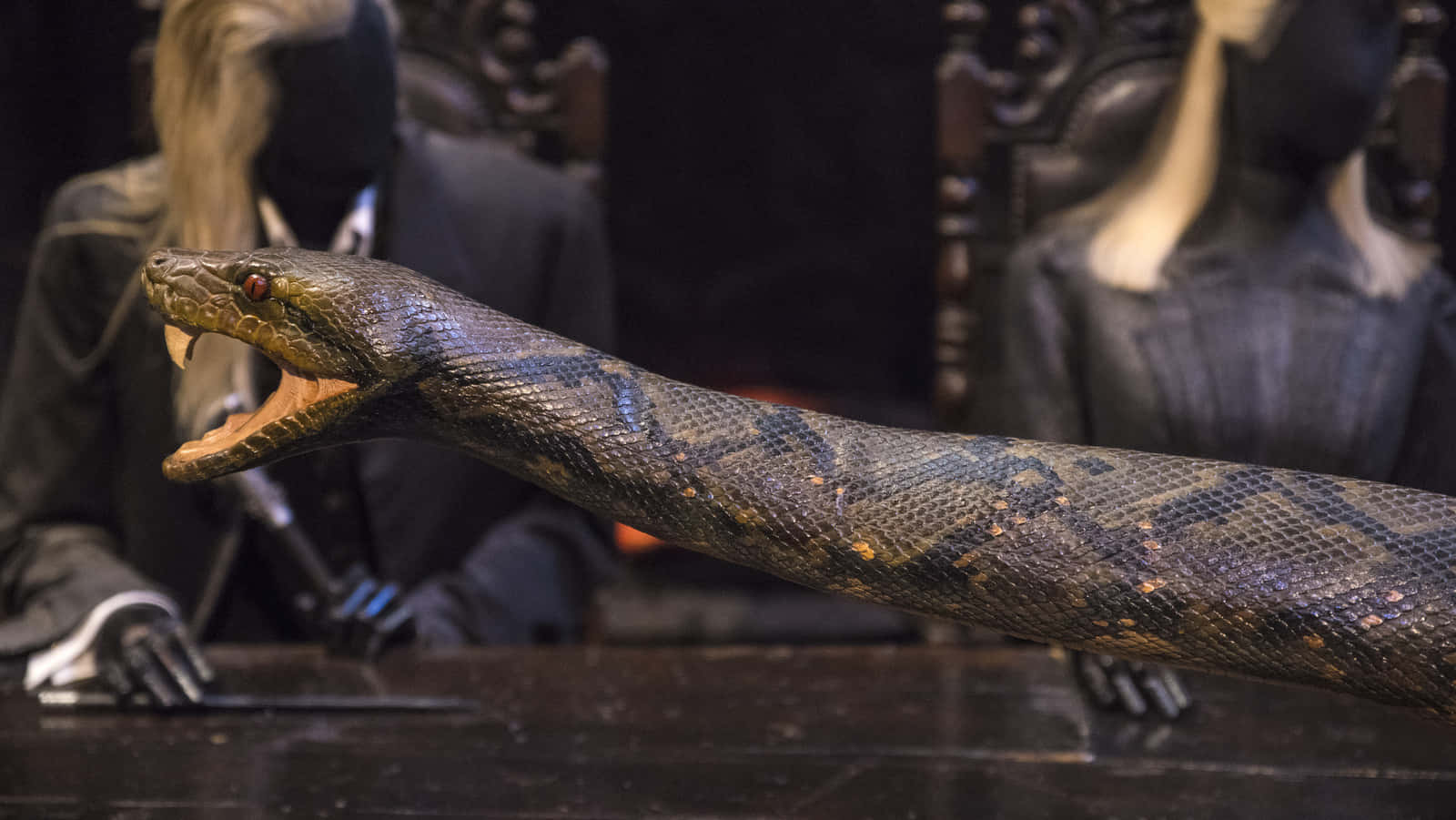 Nagini Slang Rekwisiet Harry Potter Achtergrond