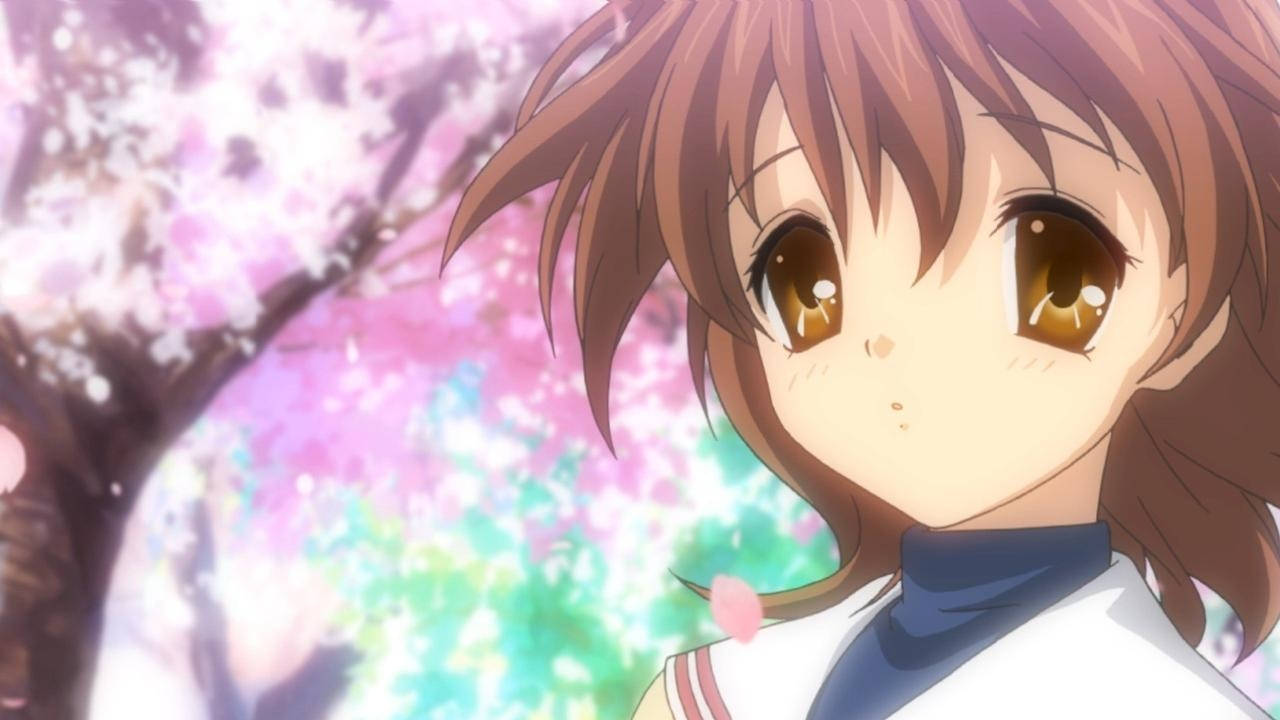 Clannad Background 82 pictures