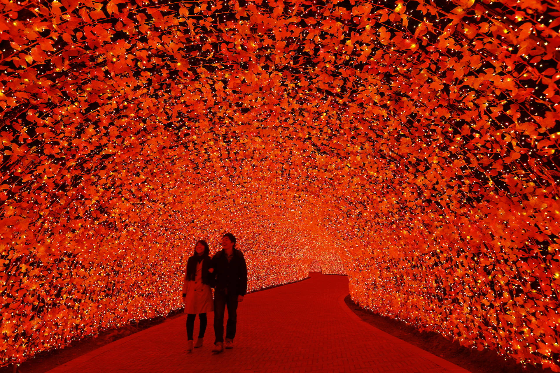 Iluminacióndel Túnel Rojo De Nagoya Fondo de pantalla