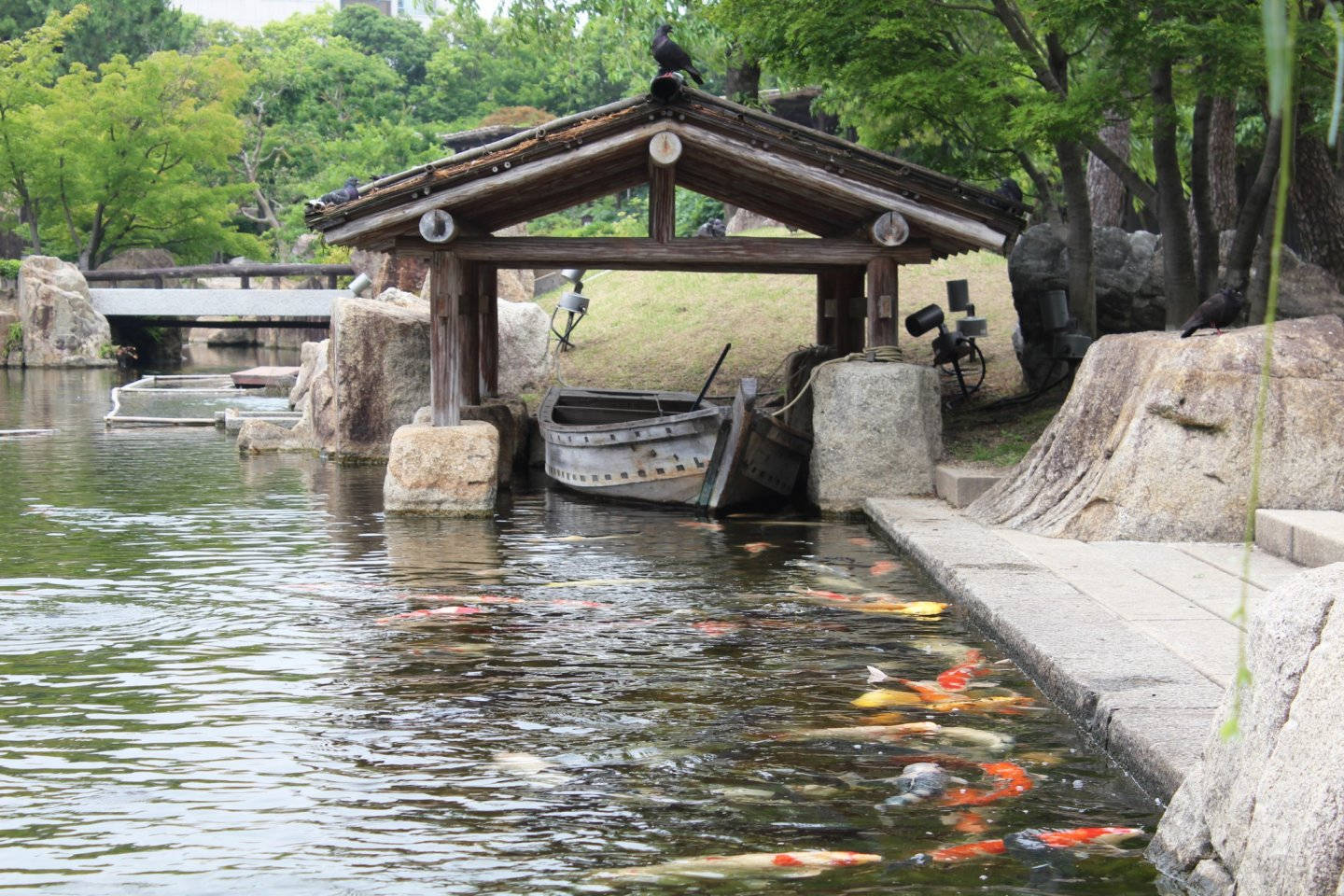 Nagoya Tokugawa Garden Pond Wallpaper