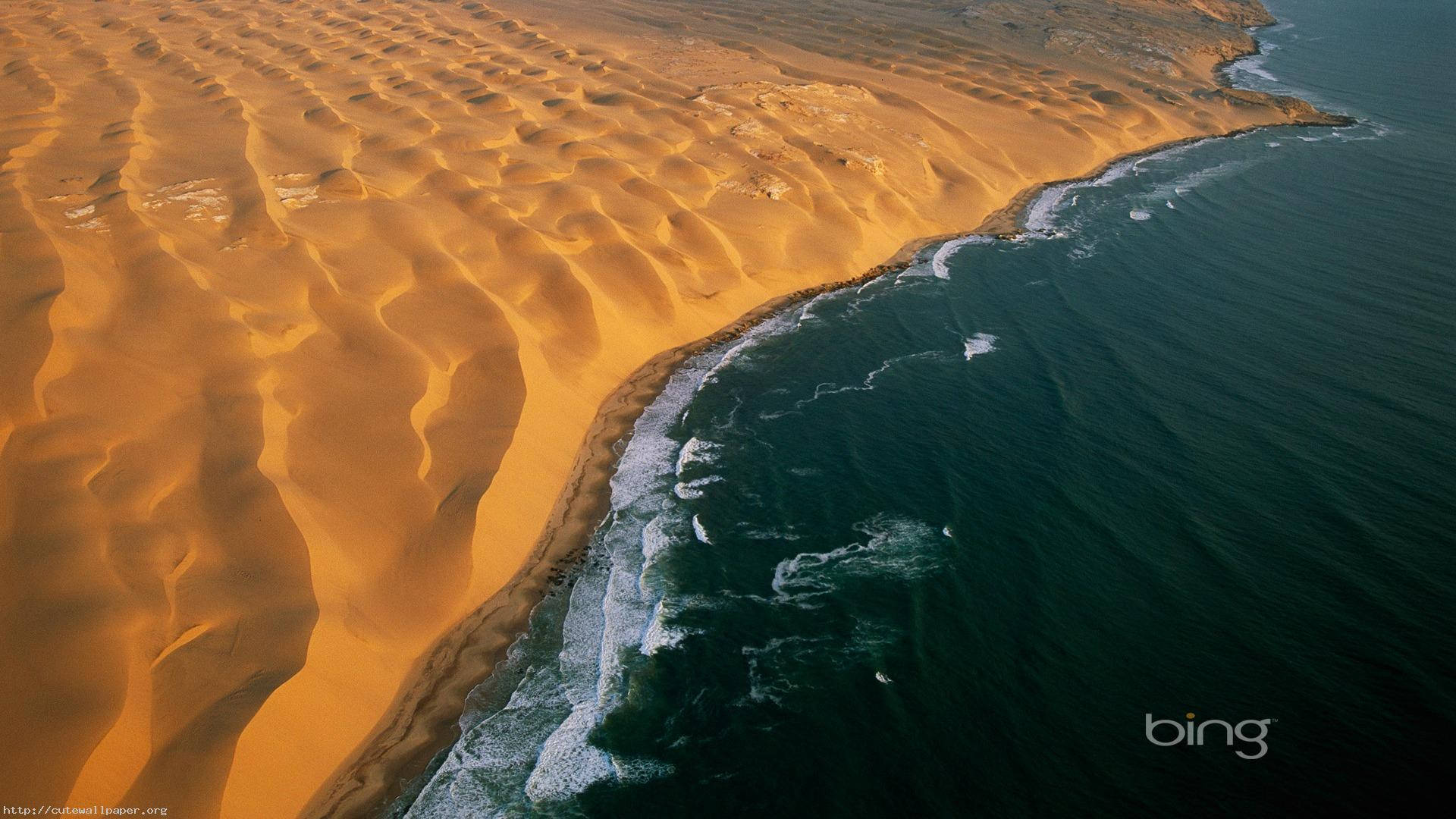 Majestic Beauty of Namib Desert Wallpaper