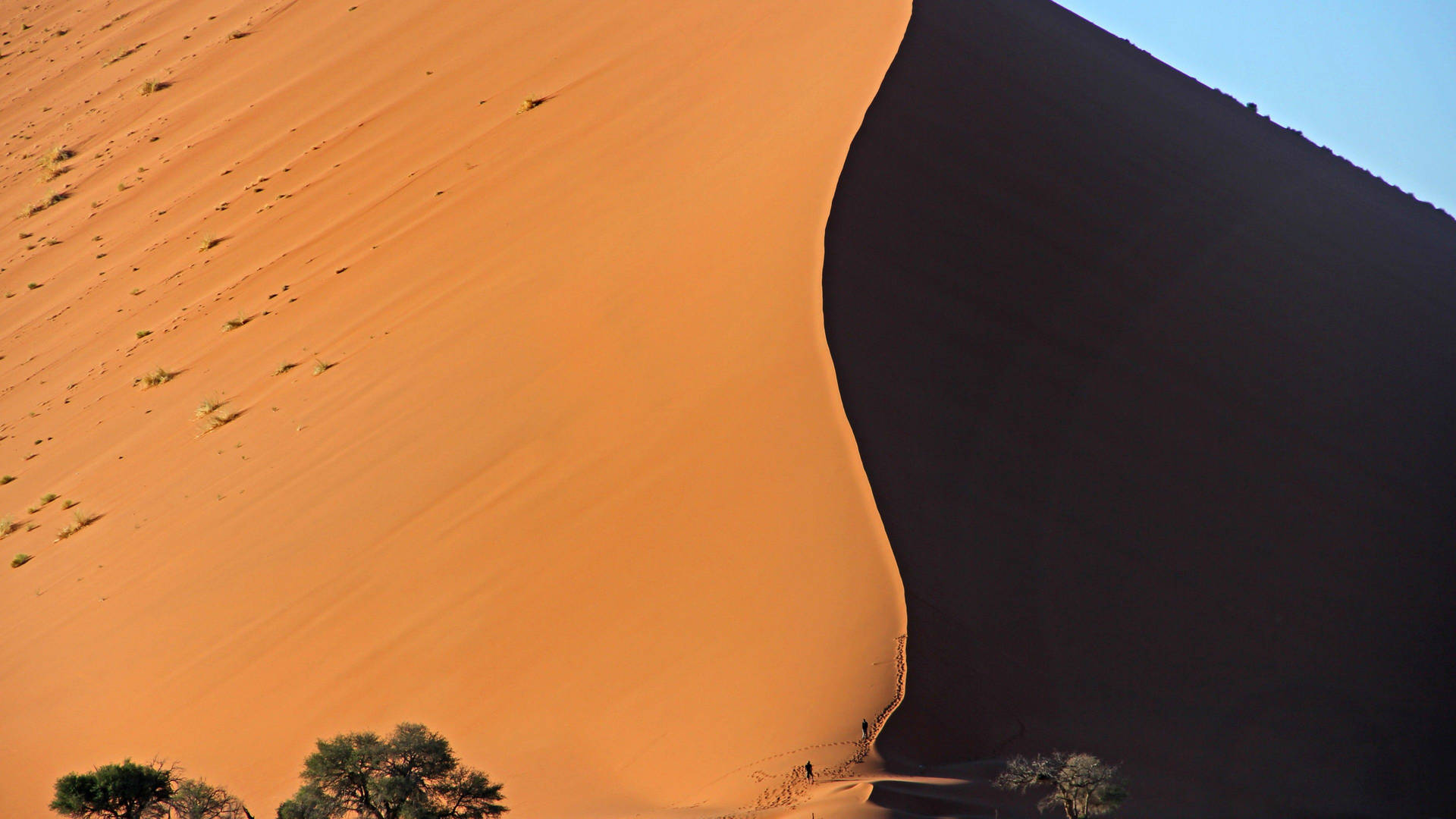Namibia Aerial Dune