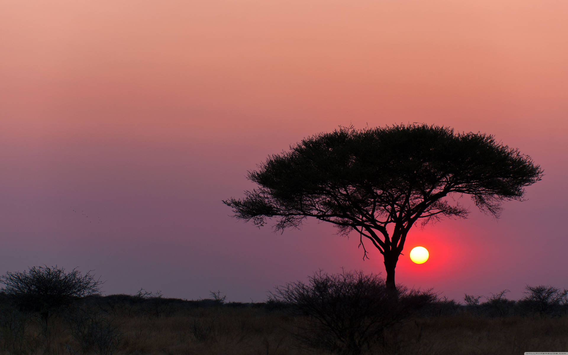 Namibia Etosha National Park