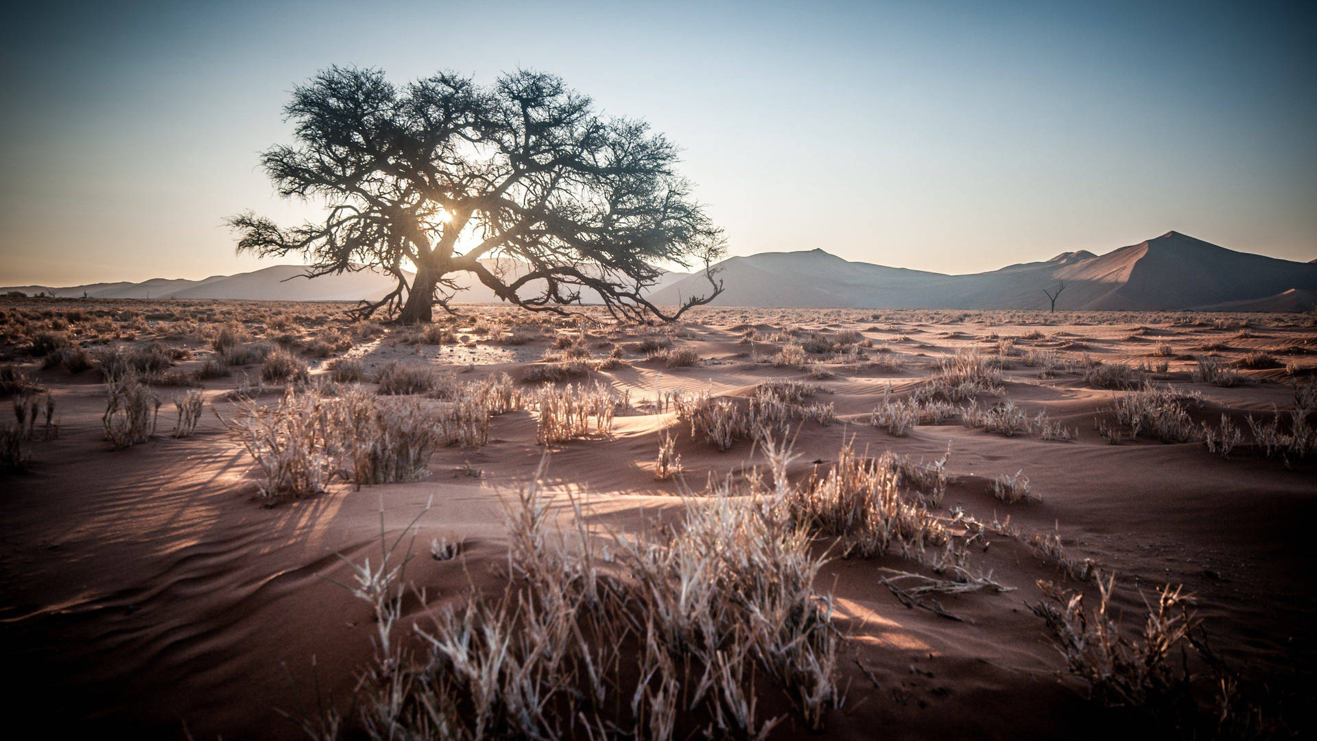 Namibia Nature Desert