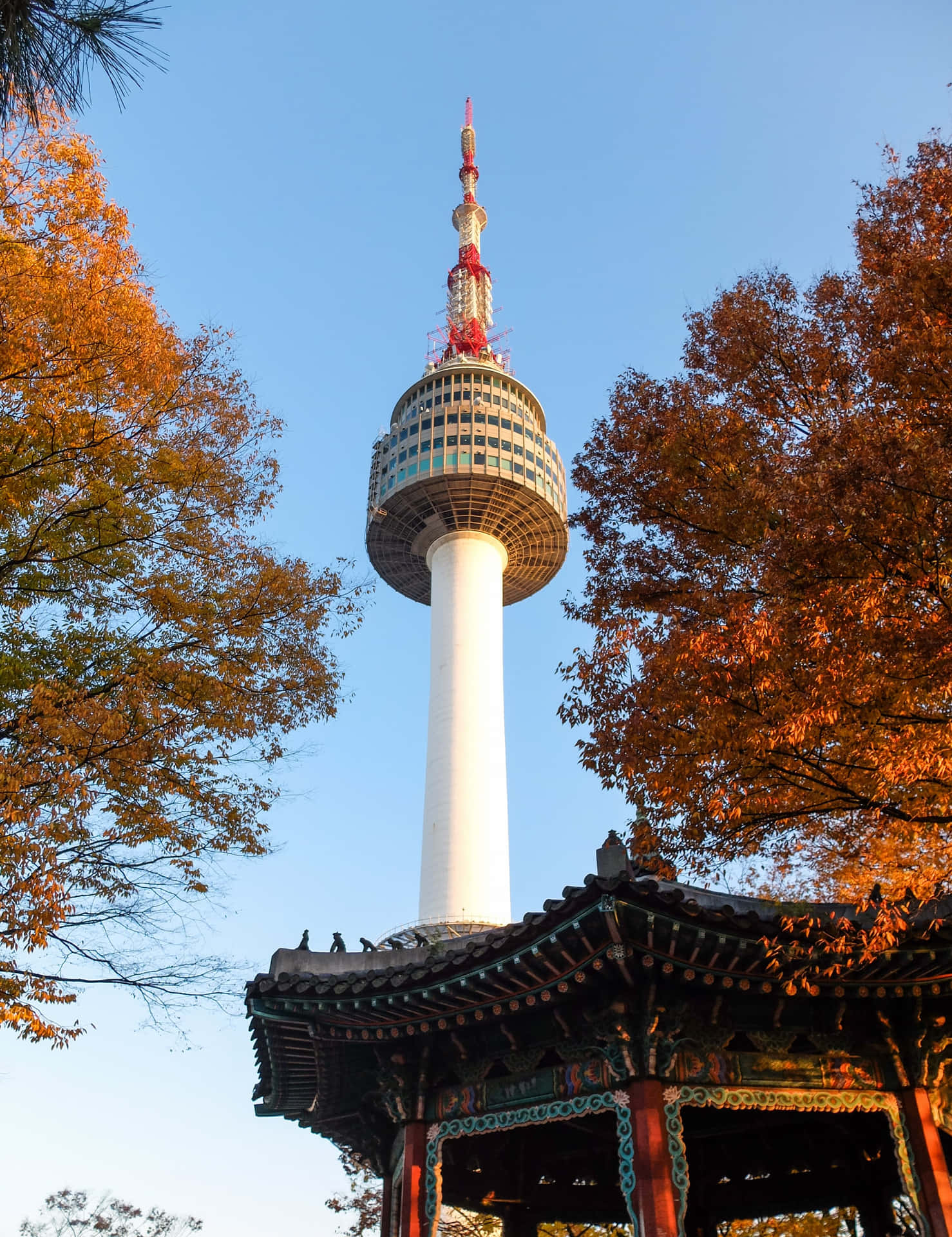 Namsan Seoul Tower Autumn View Wallpaper