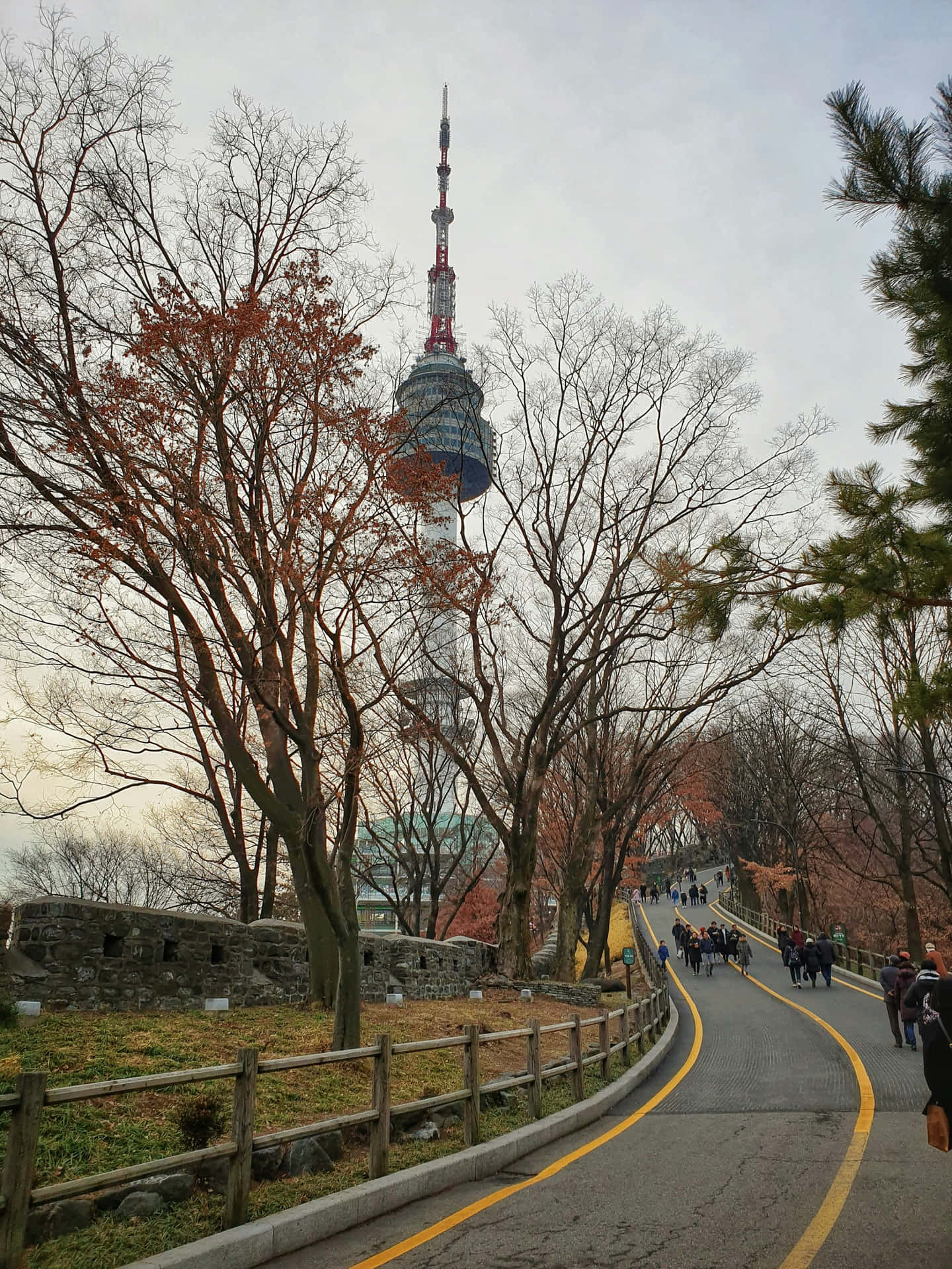 Namsan Seoul Tower Pathway Wallpaper