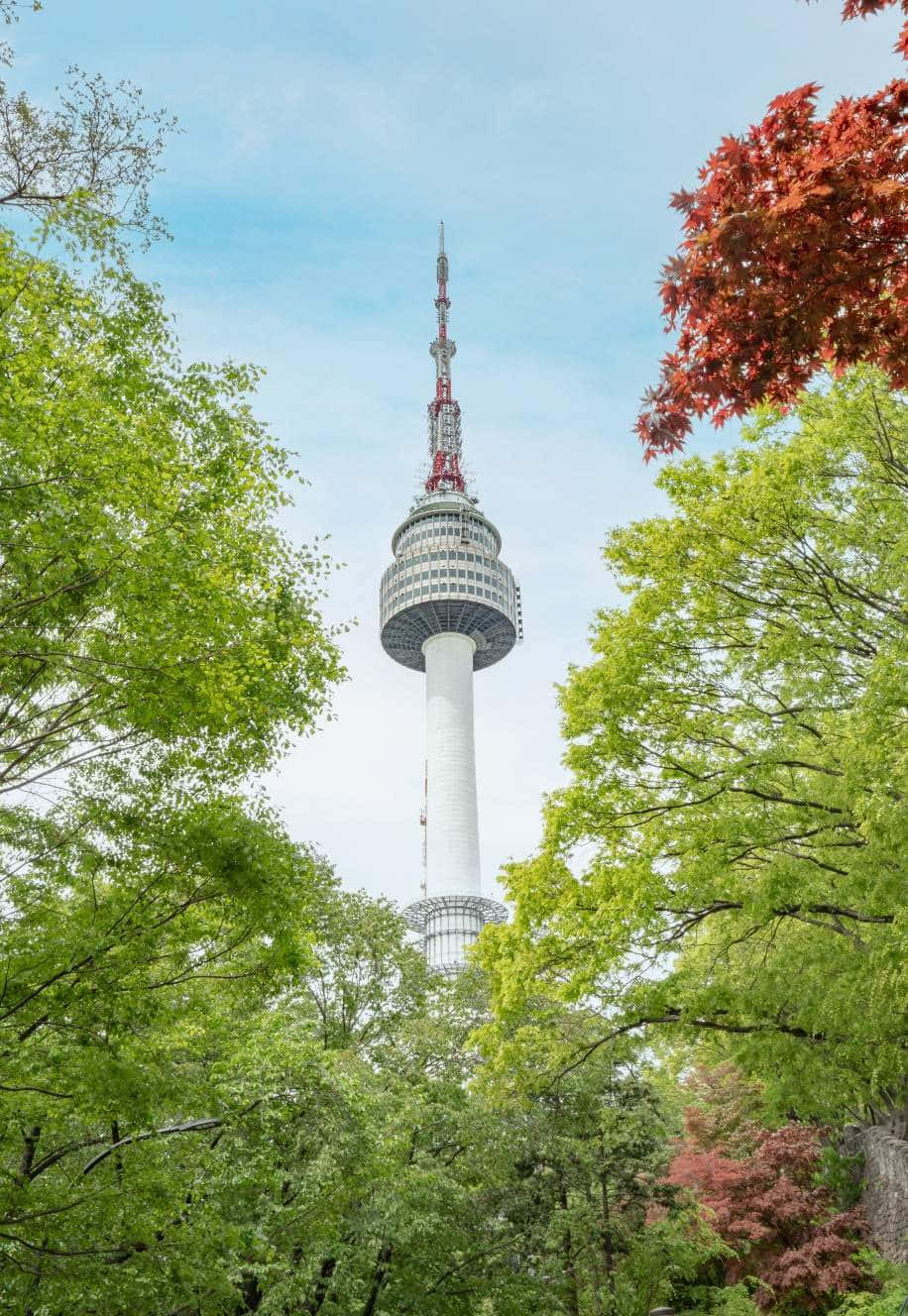 Download Namsan Seoul Tower Surroundedby Greenery Wallpaper ...