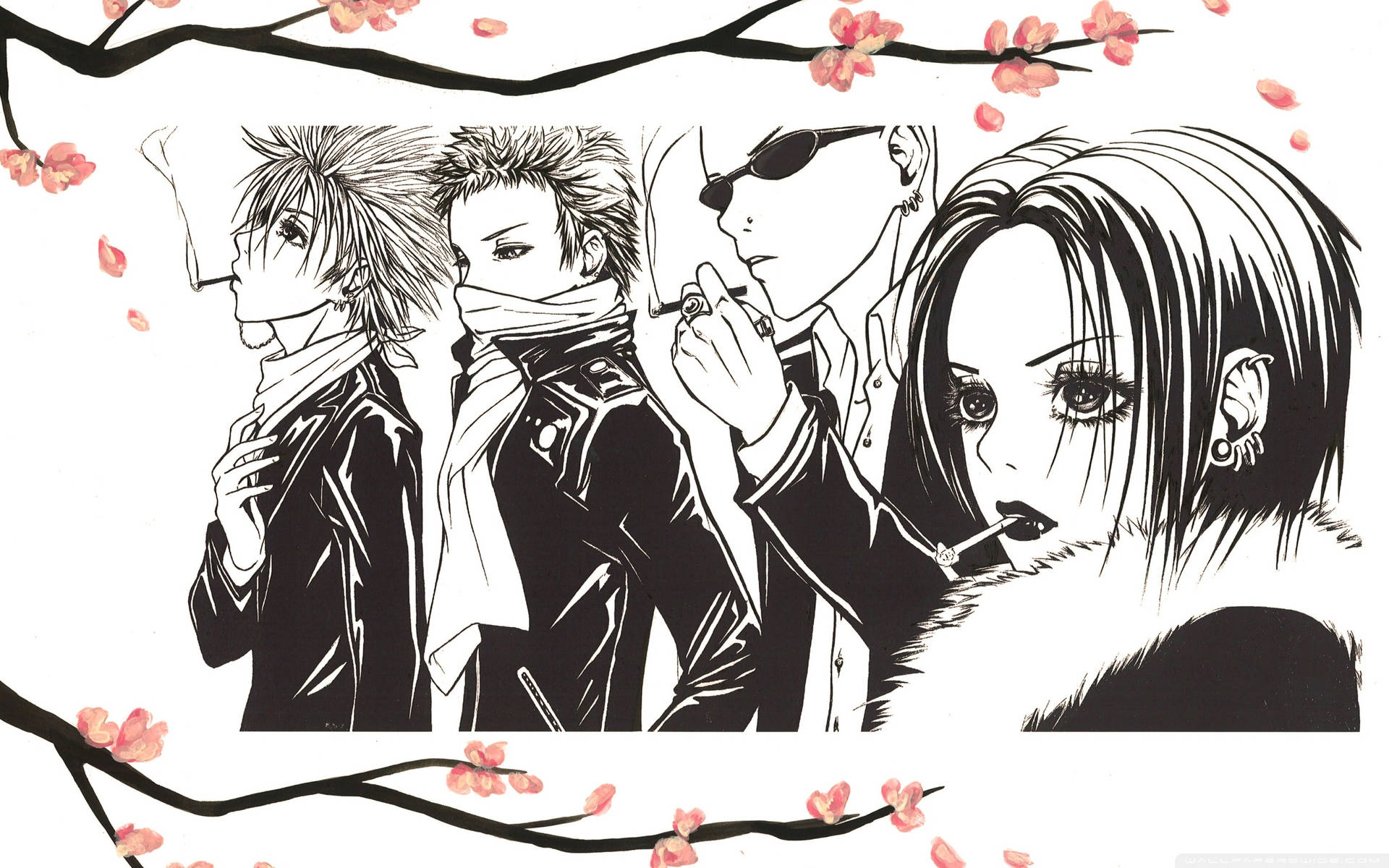 Nana Anime Cherry Blossoms Wallpaper