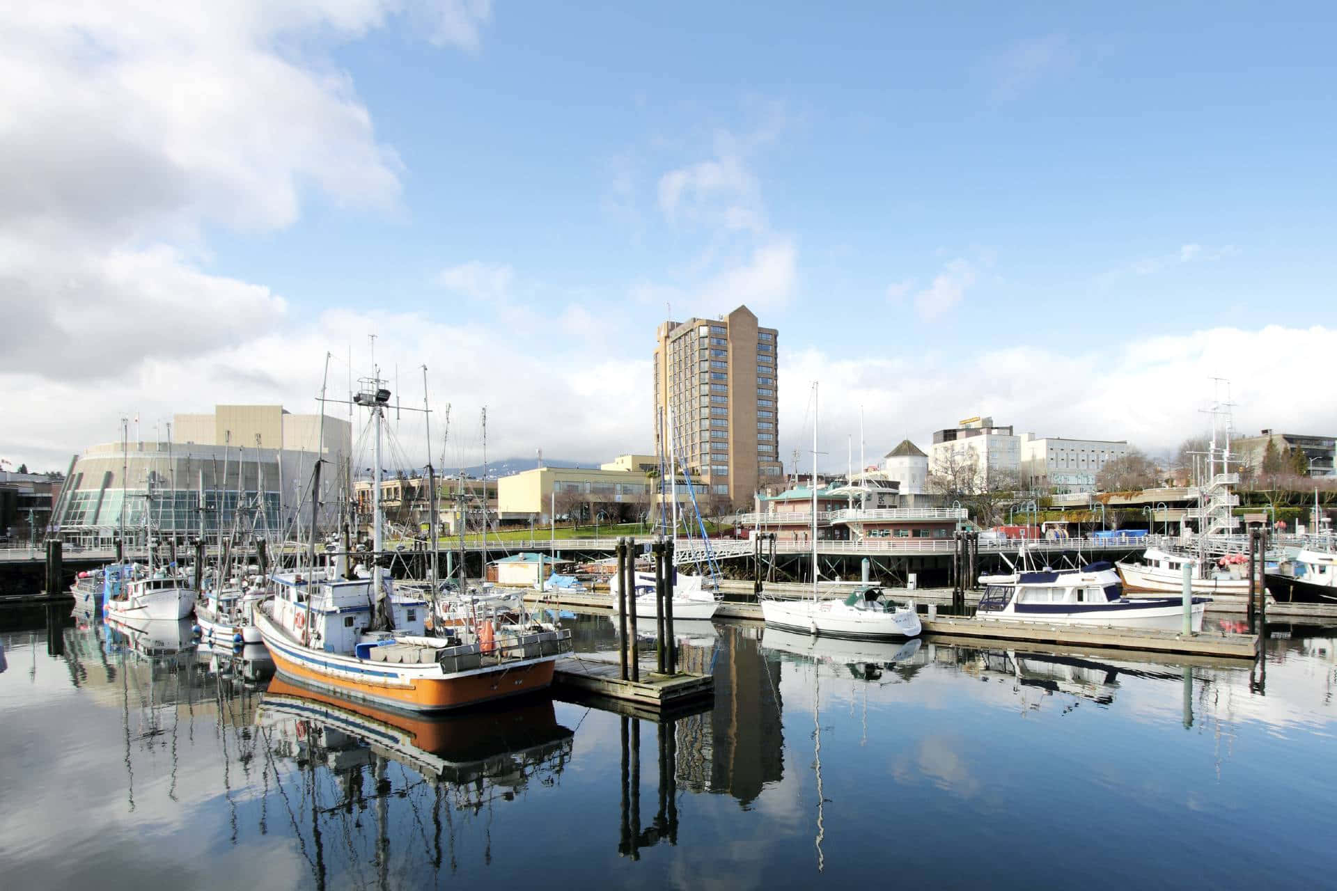 Nanaimo Marina Zonnige Dag Achtergrond