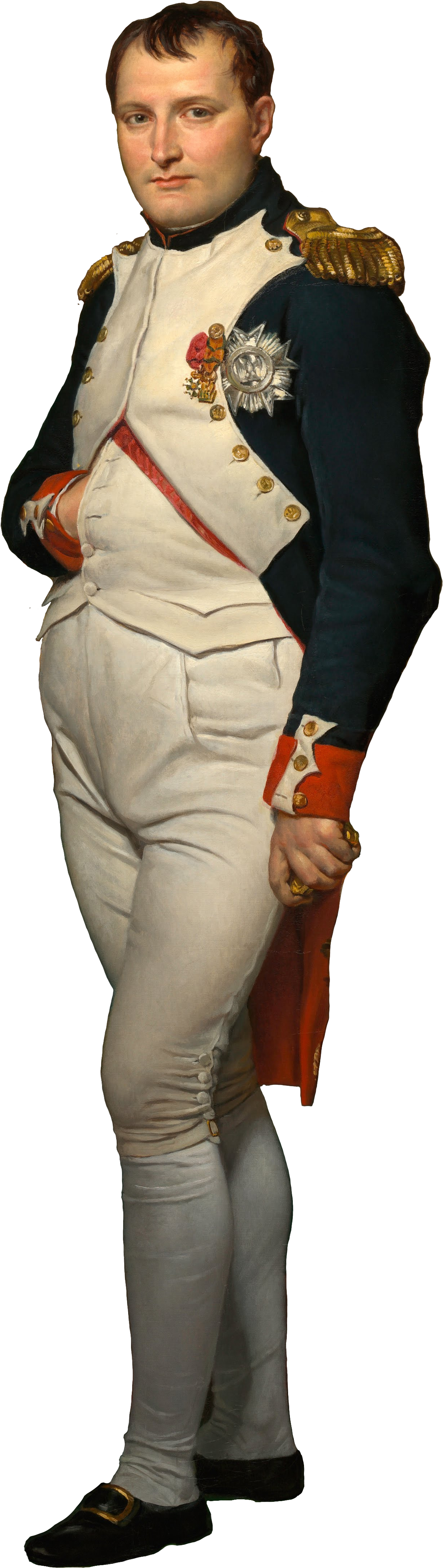 Napoleon Bonaparte Portrait PNG