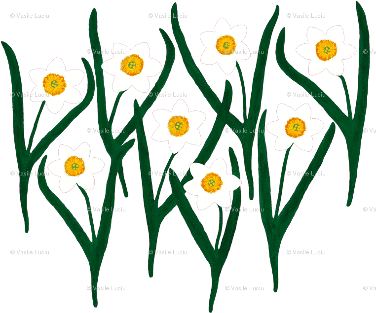 Narcissus Flowers Pattern PNG