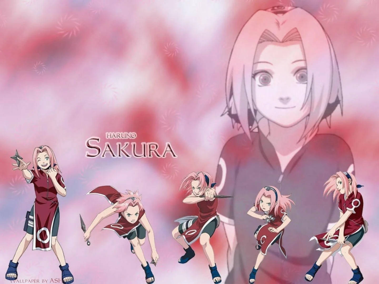 Narutoanime Sakura Kämpfende Position Wallpaper