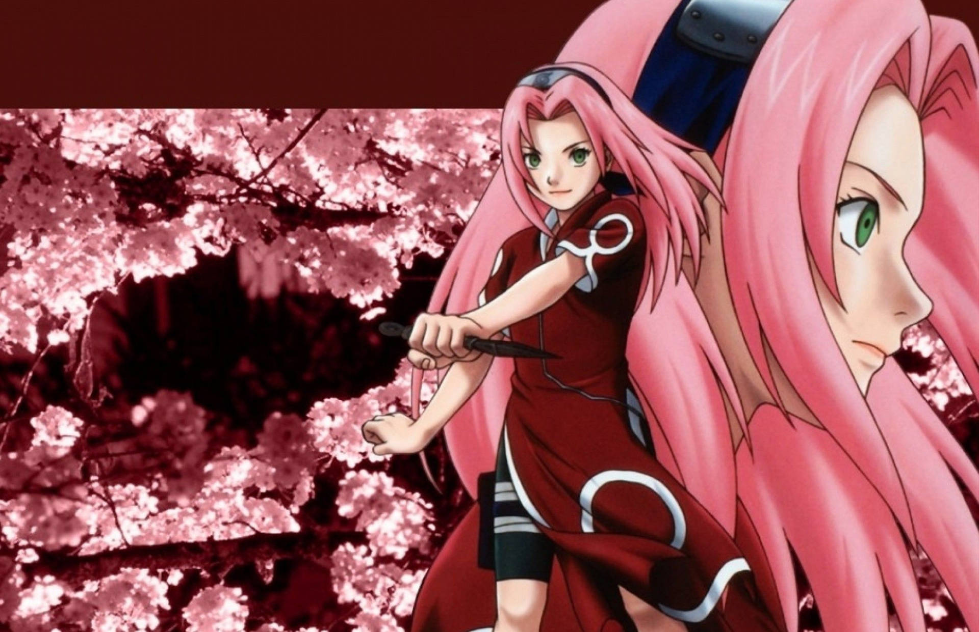 Naruto Anime Sakura Long Hair