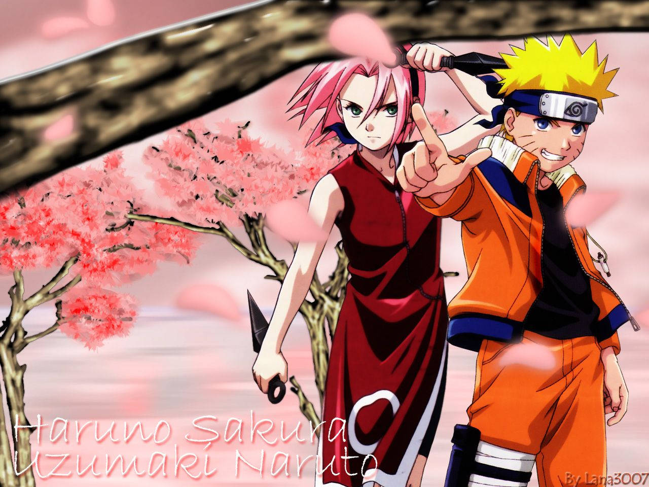Naruto Anime Sakura Powerful Duo