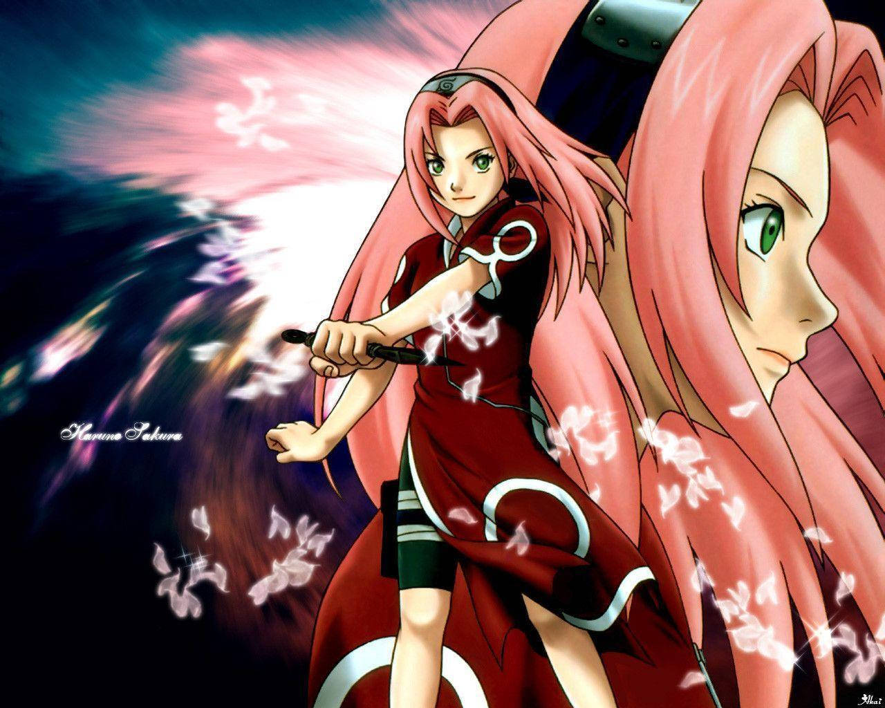Narutomädchen Sakura Posiert Wallpaper
