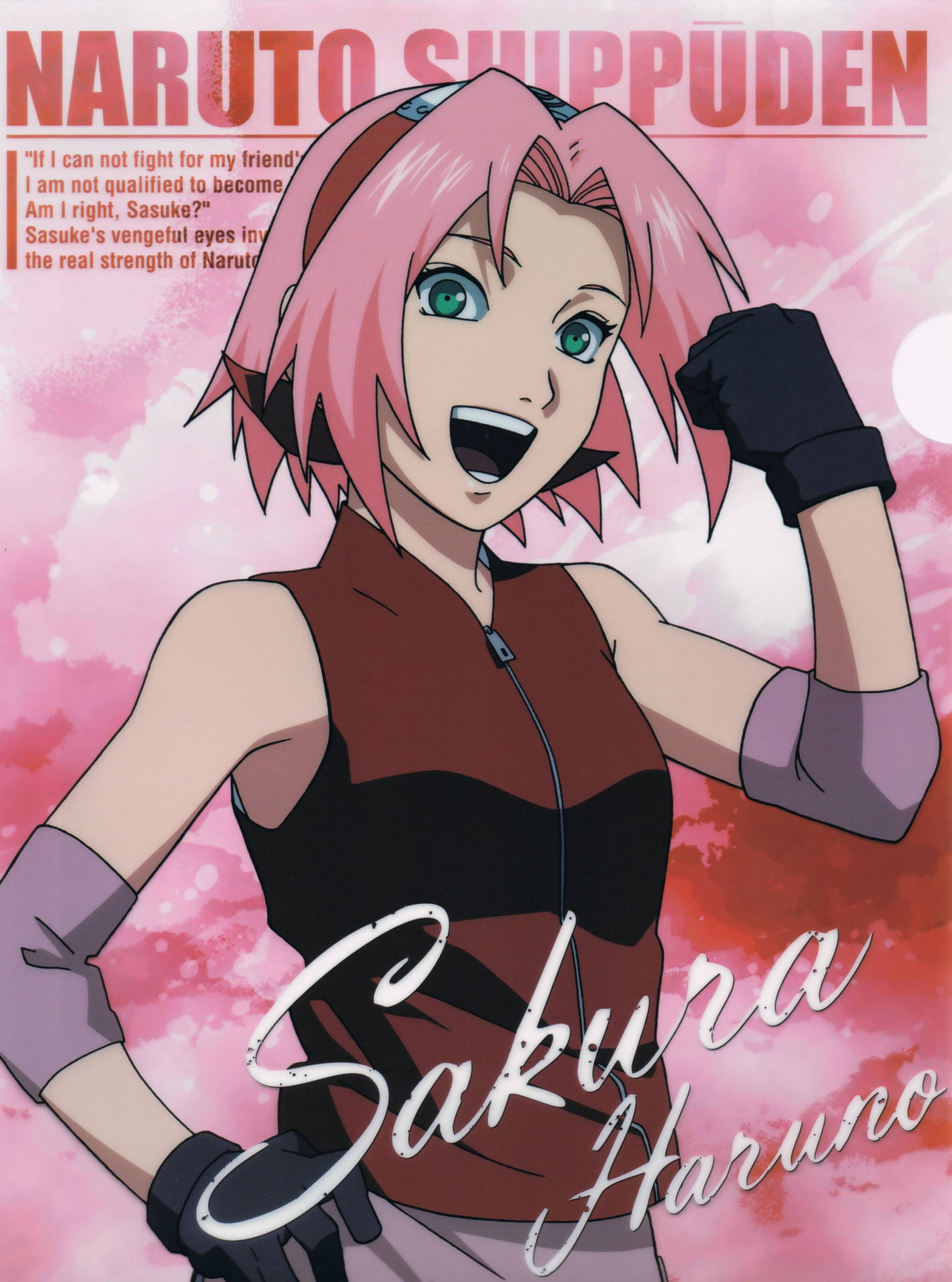 Naruto Shippuden Anime Sakura Cover