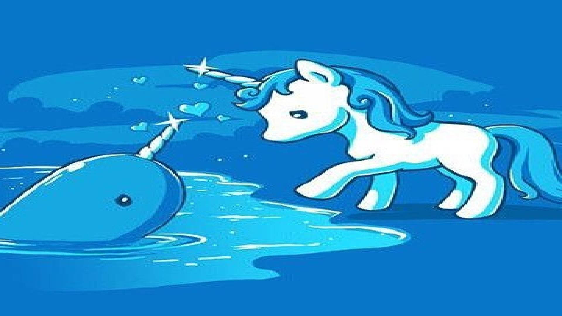 Narwhal And Unicorn