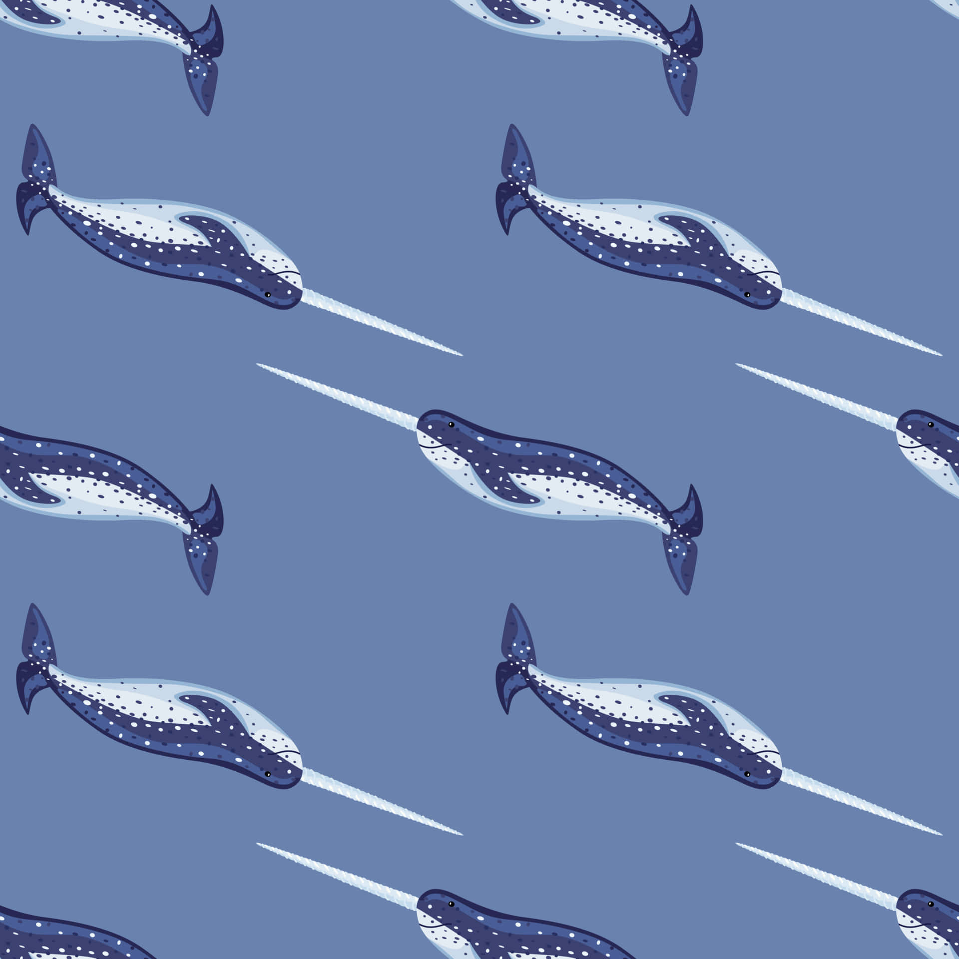 Up Close With a Majestic Narwhal