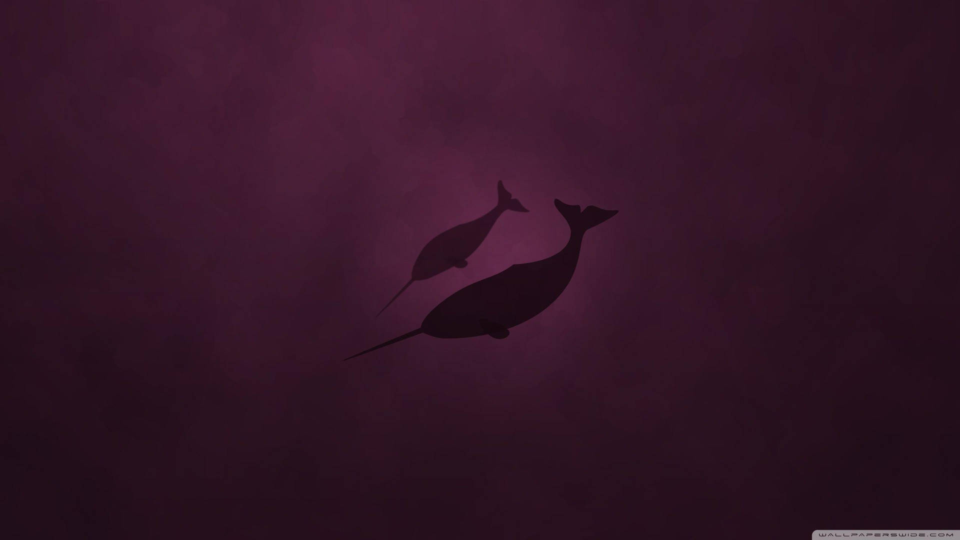 Narwhal Maroon Monochrome