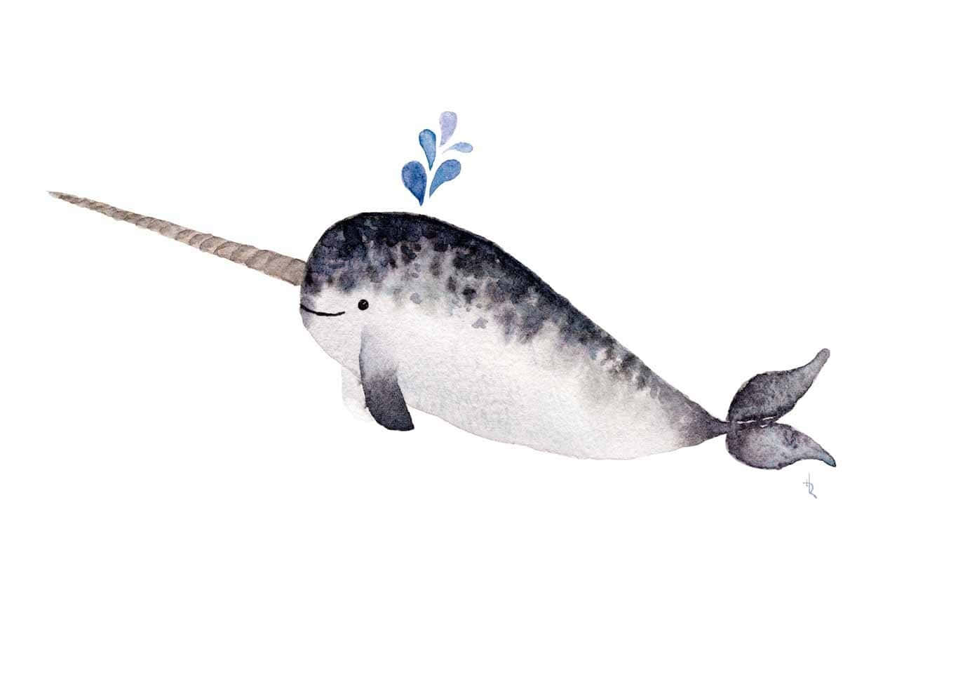 An other worldly narwhal swimming through the icy waters of the Arctic