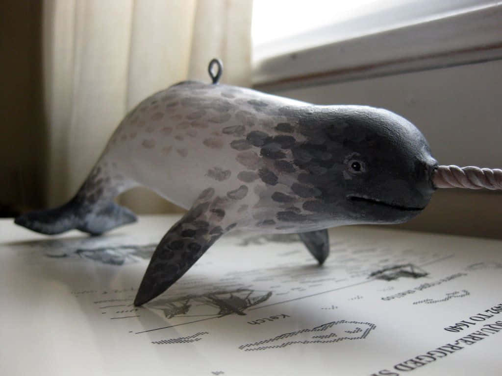 "Find sea-life enchantment with the majestic narwhal"