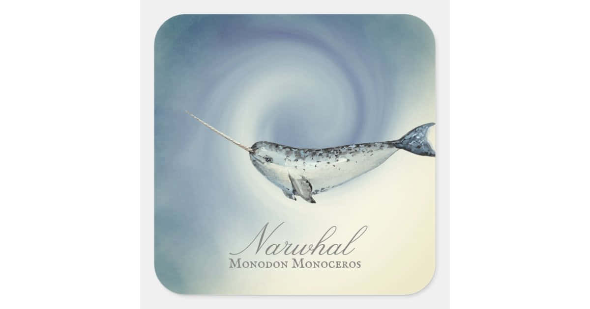 A closeup of an adorable narwhal swimming through the Arctic Ocean