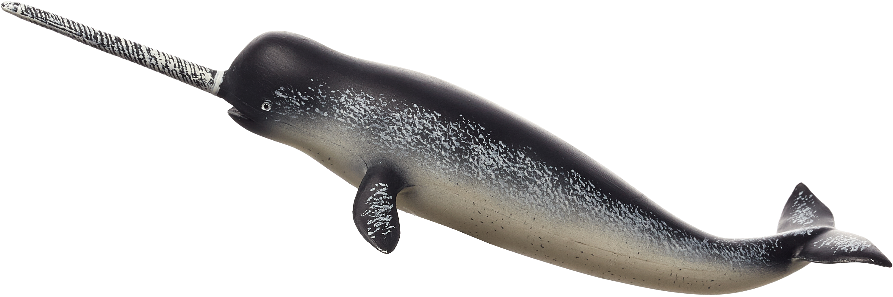 Narwhal Profilewith Tusk PNG