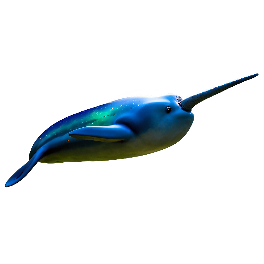 Narwhal With Aurora Borealis Png Qwi PNG